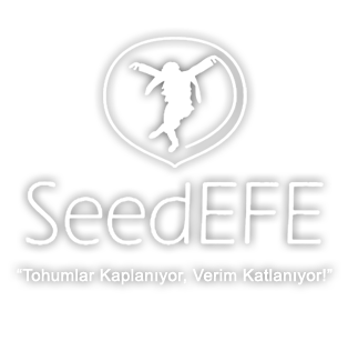 SeedEfe